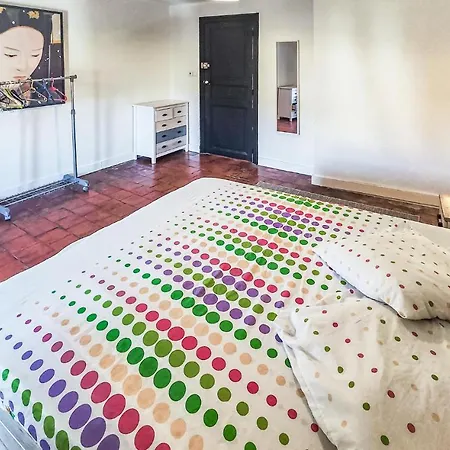 Pet Friendly In